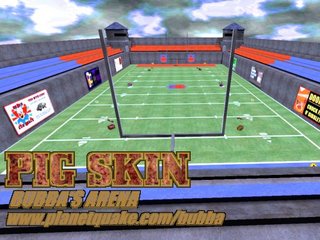 pigskin