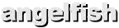 angelfish