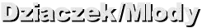 Dziaczek/Mlody