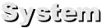System