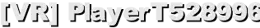 [VR] PlayerT528996