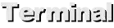Terminal