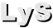 LyS