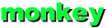 monkey