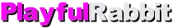 PlayfulRabbit