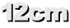 12cm