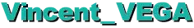 Vincent_VEGA