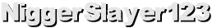 NiggerSlayer123