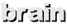 brain