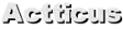 Actticus