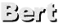 Bert