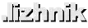 .lizhnik