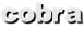 cobra