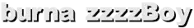 burna zzzzBoy