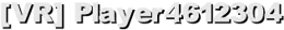 [VR] Player4612304