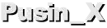 Pusin_X