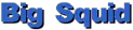 Big Squid