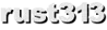 rust313