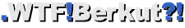 .WTF!Berkut?!