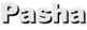 Pasha