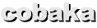 cobaka