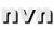 nvn nvn