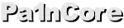 Pa1nCore