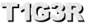 T1G3R