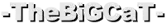 -TheBiGCaT-