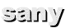 sany