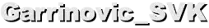 Garrinovic_SVK