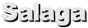 Salaga