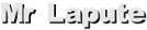 Mr Lapute